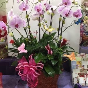 Meet your Posher, Sally